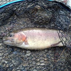 今年最後の釣り